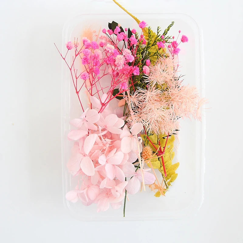 Real Dried Flowers Leaves Set Crafts Art Mixed Multiple Flower for Candle Resin for Jewelry Pendant Making Craft DIY Accessories