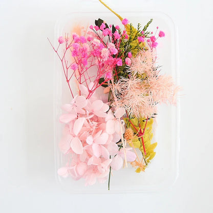 Real Dried Flowers Leaves Set Crafts Art Mixed Multiple Flower for Candle Resin for Jewelry Pendant Making Craft DIY Accessories