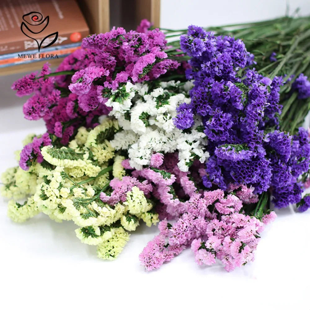 100g Dried Forget Me Not Flowers Fragrant Myosotis Immortal Bunchs Home Decor Accessory Valentine's Day Gift Wedding Decoration