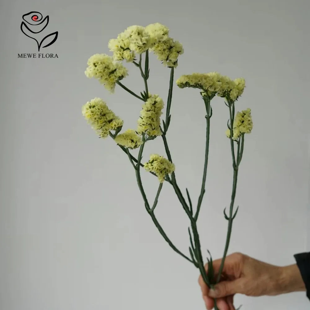 100g Dried Forget Me Not Flowers Fragrant Myosotis Immortal Bunchs Home Decor Accessory Valentine's Day Gift Wedding Decoration