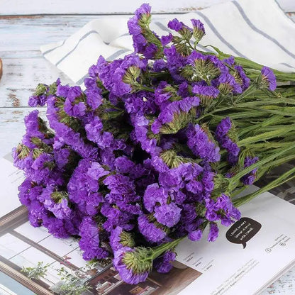 100g Dried Forget Me Not Flowers Fragrant Myosotis Immortal Bunchs Home Decor Accessory Valentine's Day Gift Wedding Decoration