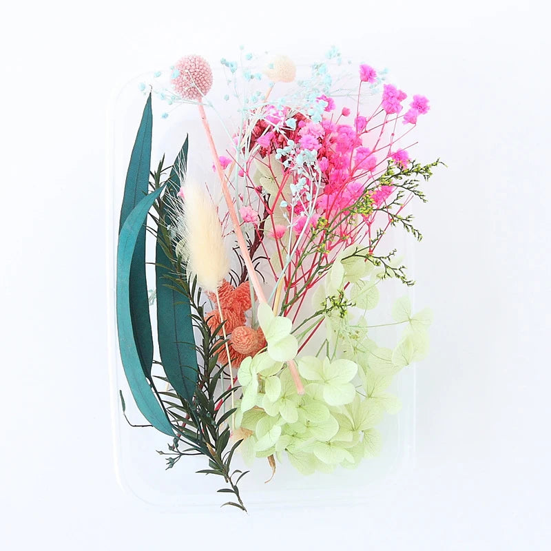 Real Dried Flowers Leaves Set Crafts Art Mixed Multiple Flower for Candle Resin for Jewelry Pendant Making Craft DIY Accessories