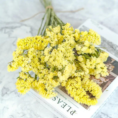 100g Dried Forget Me Not Flowers Fragrant Myosotis Immortal Bunchs Home Decor Accessory Valentine's Day Gift Wedding Decoration