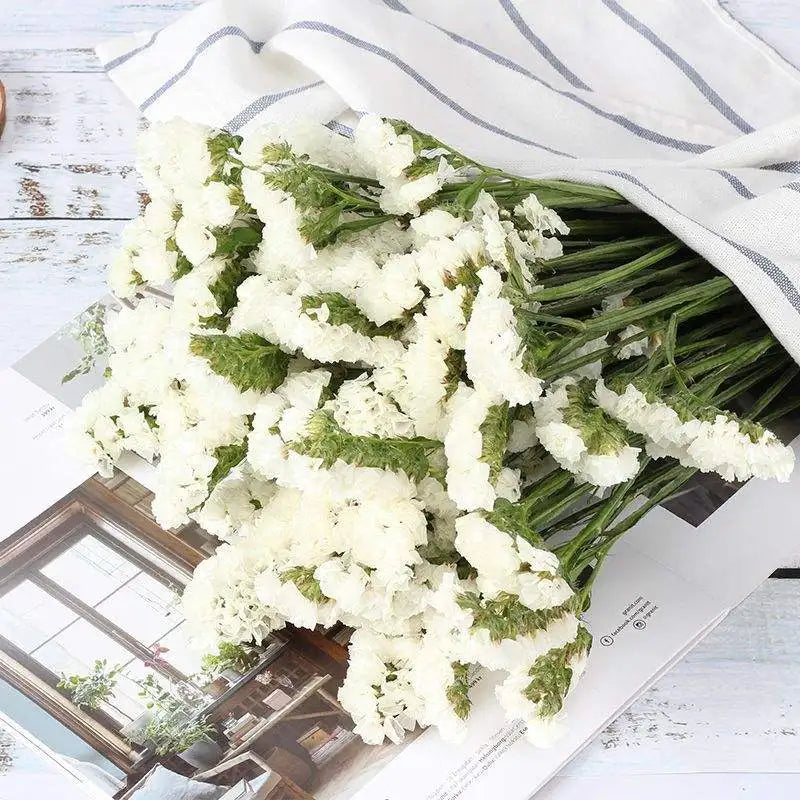 100g Dried Forget Me Not Flowers Fragrant Myosotis Immortal Bunchs Home Decor Accessory Valentine's Day Gift Wedding Decoration