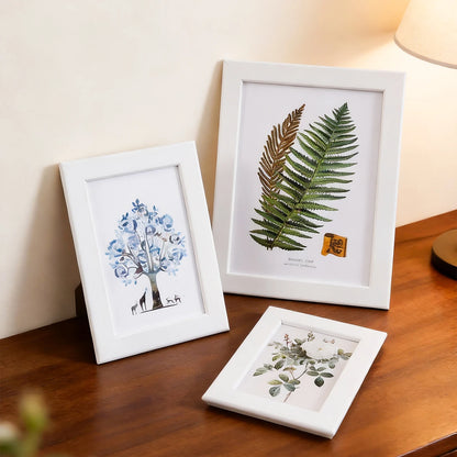 Multi-size tabletop photo frames for displaying 5, 6, 7, and 8-inch photos, suitable for placement in living rooms, bedrooms