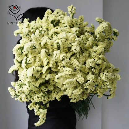 100g Dried Forget Me Not Flowers Fragrant Myosotis Immortal Bunchs Home Decor Accessory Valentine's Day Gift Wedding Decoration