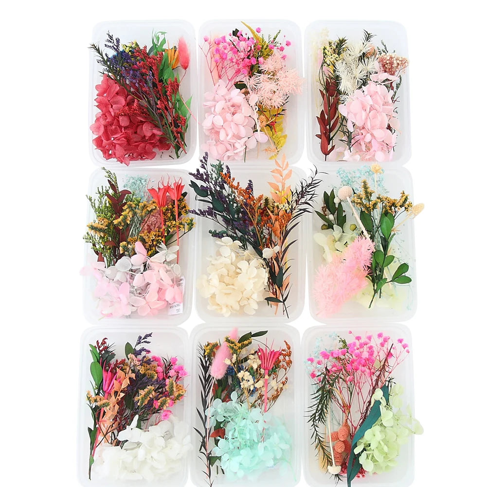 Real Dried Flowers Leaves Set Crafts Art Mixed Multiple Flower for Candle Resin for Jewelry Pendant Making Craft DIY Accessories