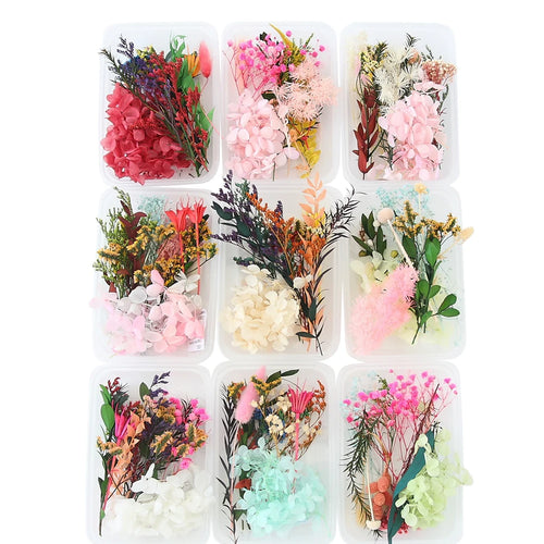 Real Dried Flowers Leaves Set Crafts Art Mixed Multiple Flower for Candle Resin for Jewelry Pendant Making Craft DIY Accessories
